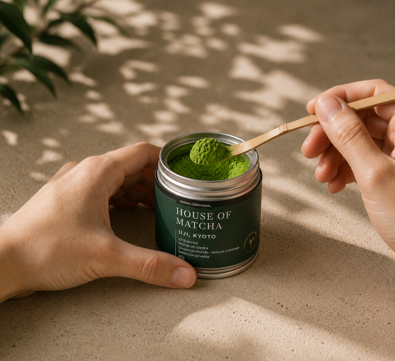 Uji Kyoto Ceremonial Matcha
